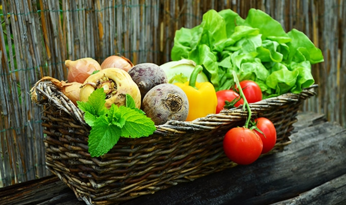 VegNewsVegetablesBasket