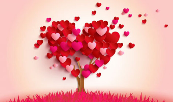 VegNews.HeartTree