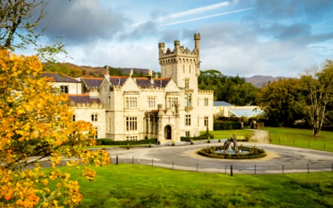 A Guinness-Soaked Vegan Road Trip through Ireland