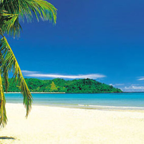 5 Vegan-Friendly Places to Move if You're Thinking the US Isn't for You