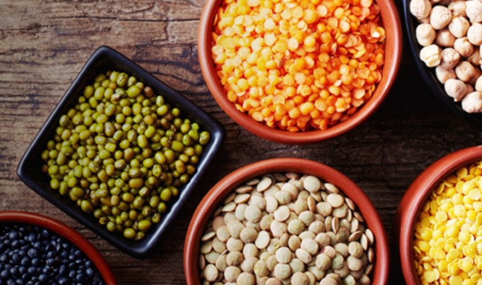 VegNewsPlantProteinFOF
