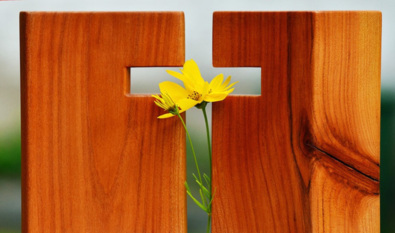 <i>Independent</i> Advises Christians to Go Vegan for Lent