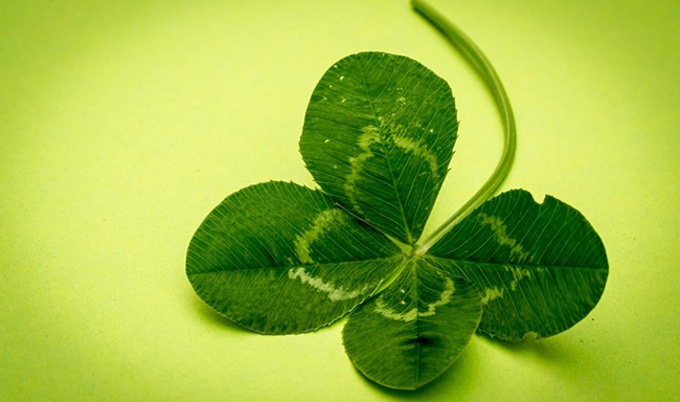 VegNewsFourLeafClover