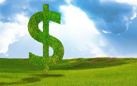 7 Vegan Ways to Spend Your Tax Refund