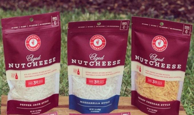 Image result for nut cheese