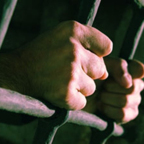 Bulgaria Cruelty Law