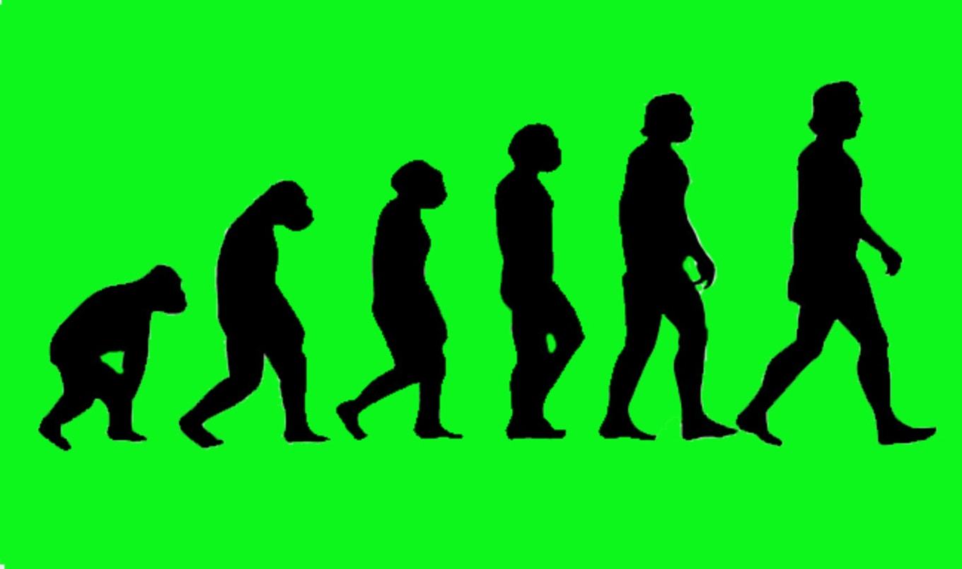MD Debunks Myth that Humans Evolved to Eat Meat