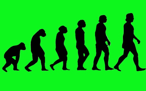 MD Debunks Myth that Humans Evolved to Eat Meat