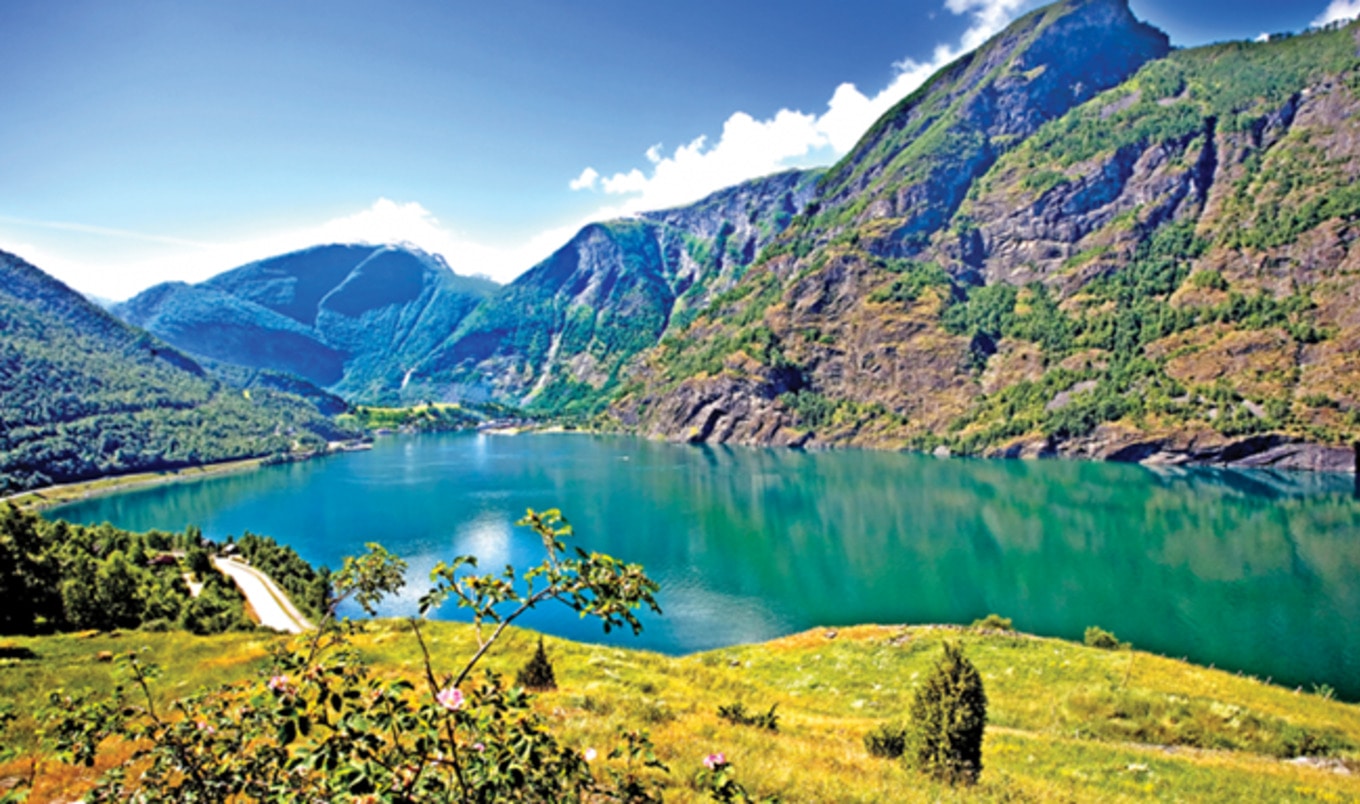New Vegan Cruise Sets Sail in September