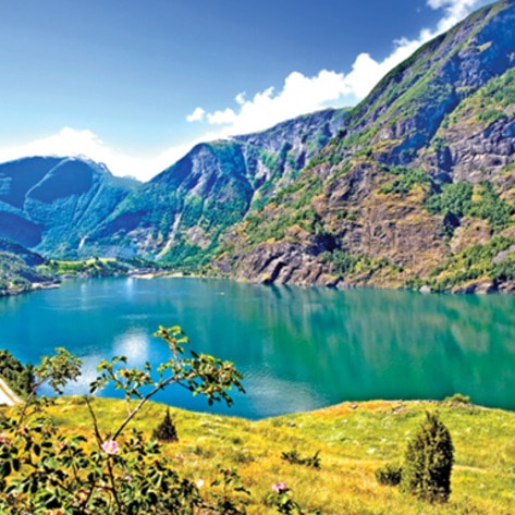 New Vegan Cruise Sets Sail in September