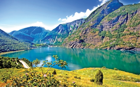 New Vegan Cruise Sets Sail in September