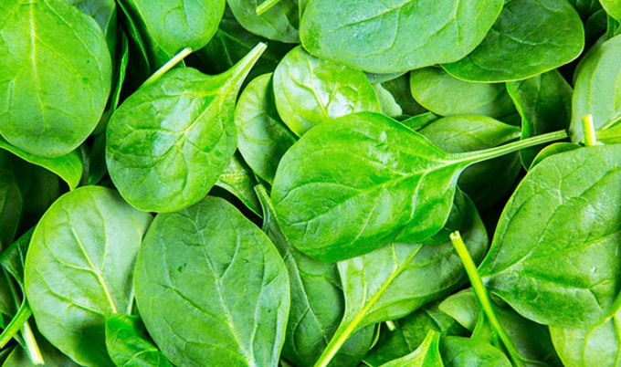 VegNewsSpinachLeaves