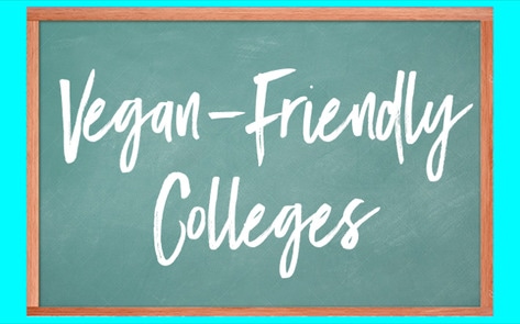 The 10 Most Vegan-Friendly Colleges