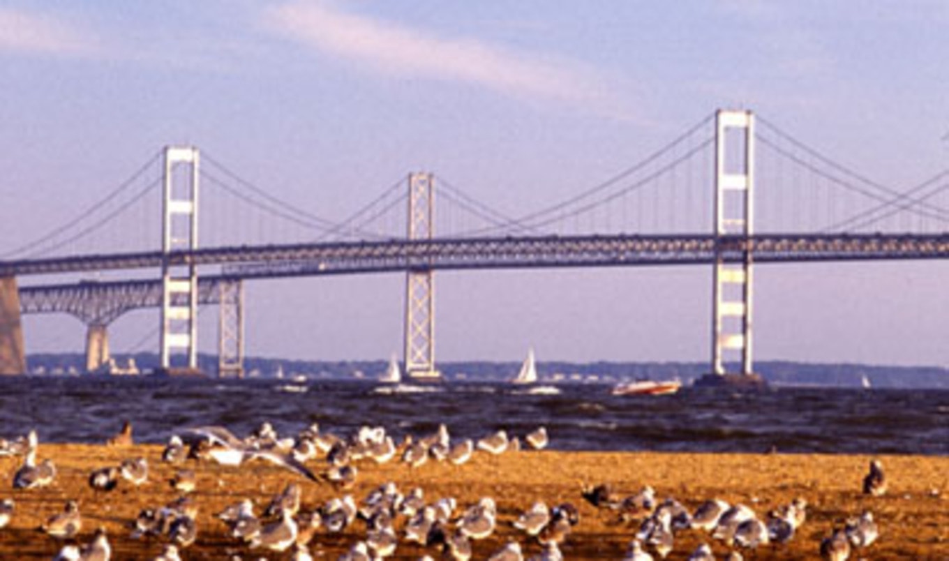 Chesapeake Bay Cleanup