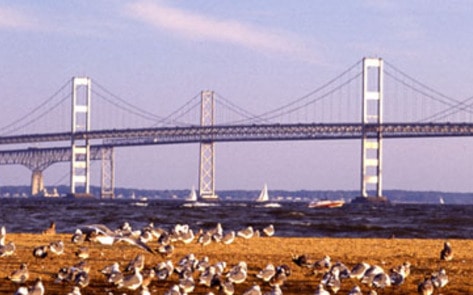 Chesapeake Bay Cleanup