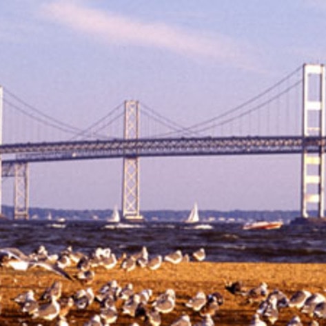 Chesapeake Bay Cleanup