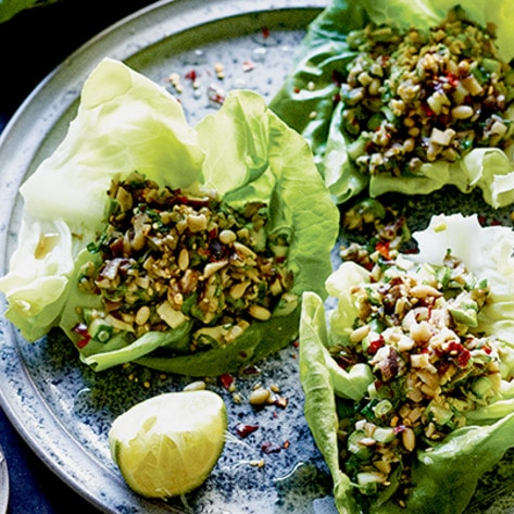 shiitakelettucecupvegnews