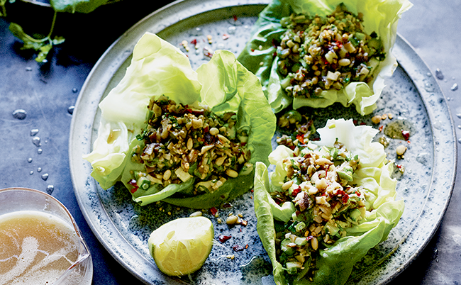 shiitakelettucecupvegnews