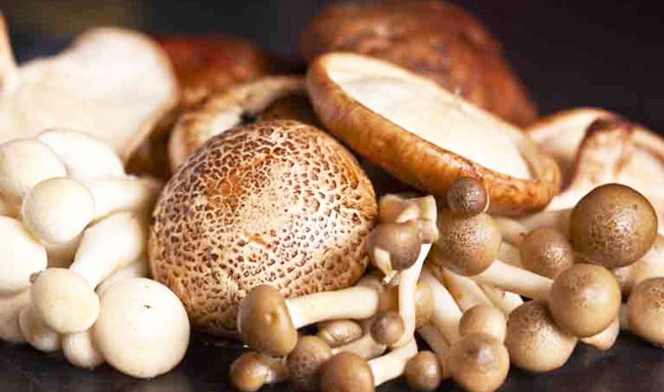 Study Finds Mushrooms are as Filling as Meat
