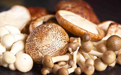 Study Finds Mushrooms are as Filling as Meat