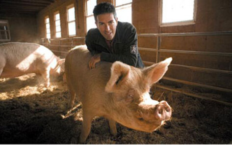 Wayne Pacelle Hopes to Join Tyson Foods Board