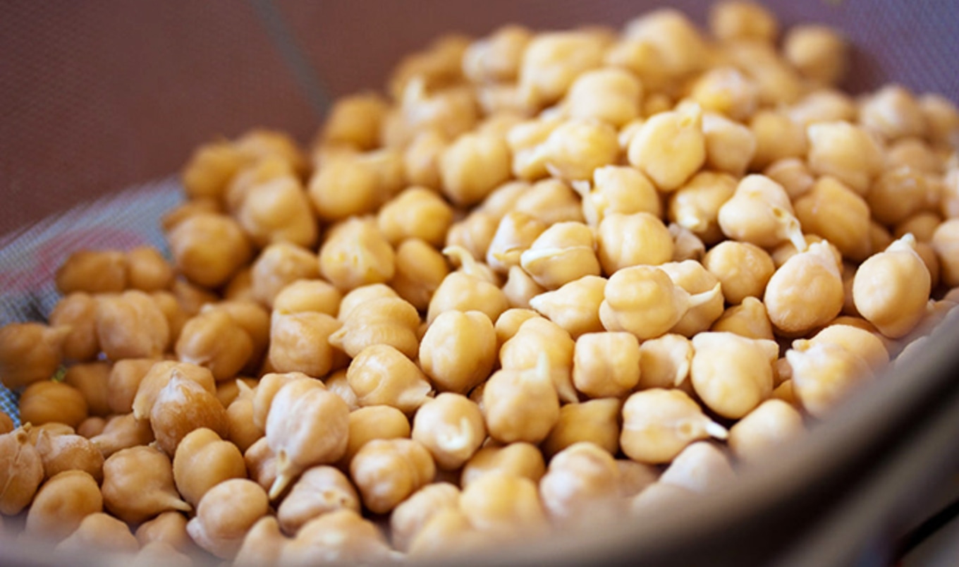 Chickpea Protein to Expand Plant-Based Sector