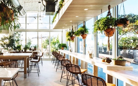 Vegan Eatery with Ocean Views to Open in Miami