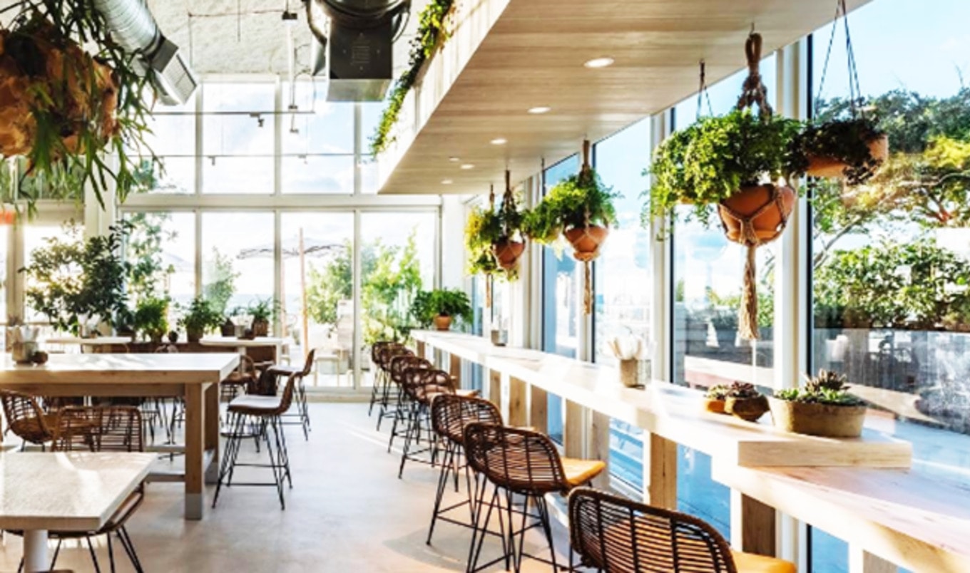 Vegan Eatery with Ocean Views to Open in Miami