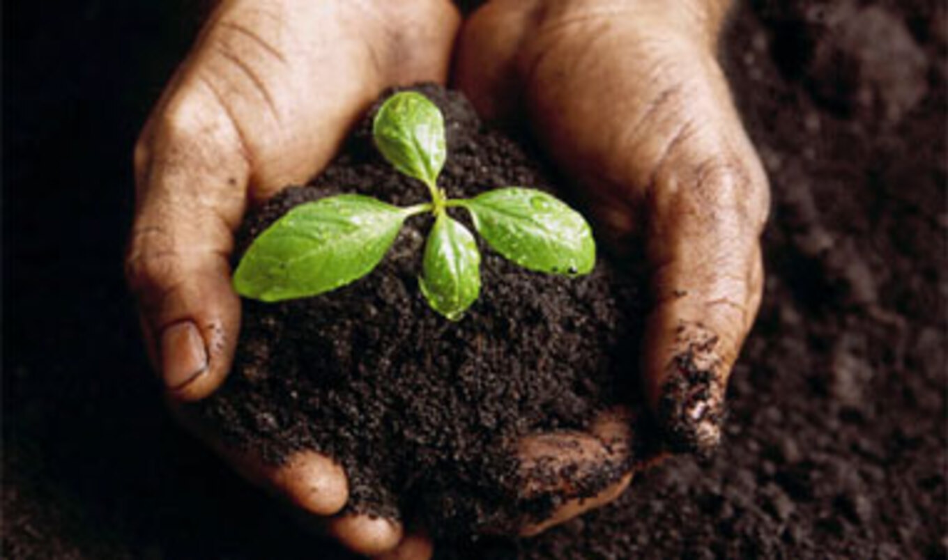 6 Easy Ways to Go Green Right Now
