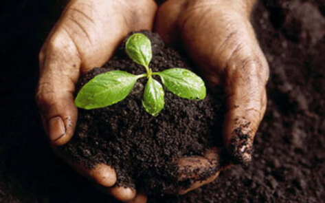 6 Easy Ways to Go Green Right Now