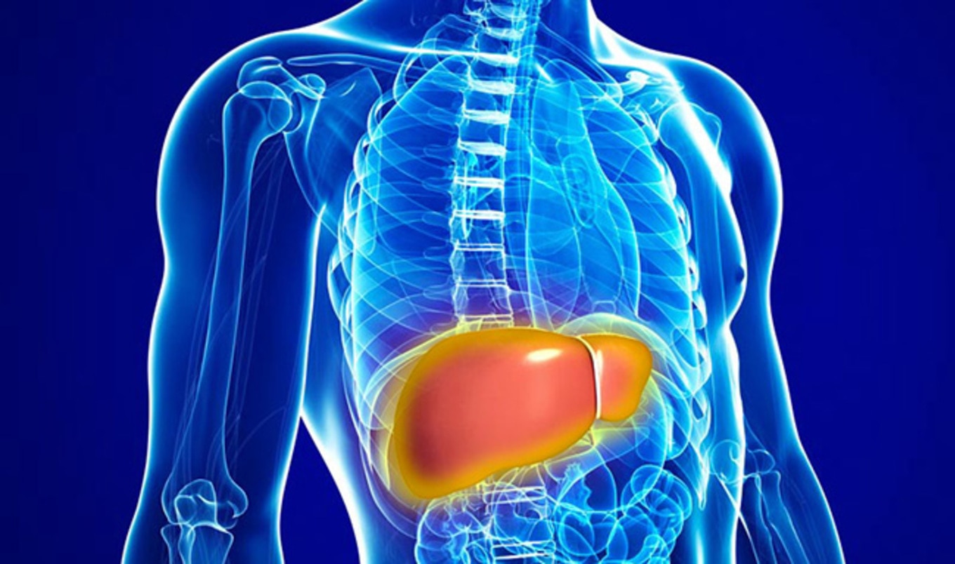 Eating Animals Increases Risk for Fatty Liver Disease