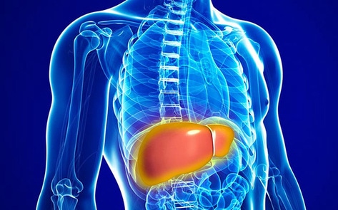 Eating Animals Increases Risk for Fatty Liver Disease