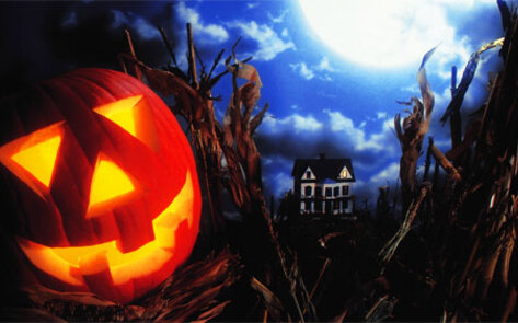 How to Celebrate a Vegan Halloween in Norfolk, VA