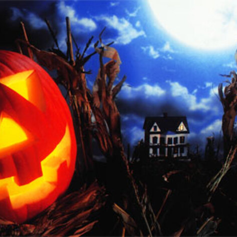 How to Celebrate a Vegan Halloween in Norfolk, VA