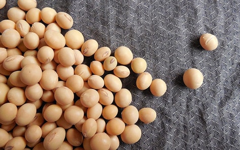 Demand for Vegan Protein to Double by 2024