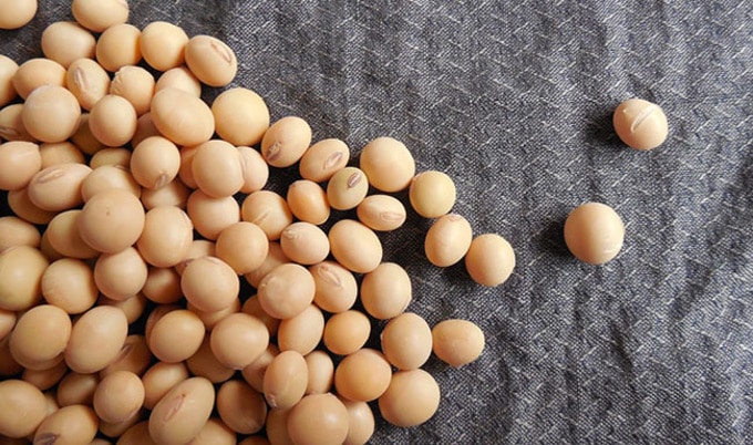 VegNewsSoyBeans