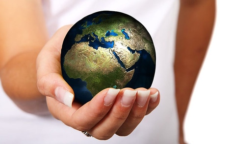 Canadian High School Students Imagine a Meatless Future