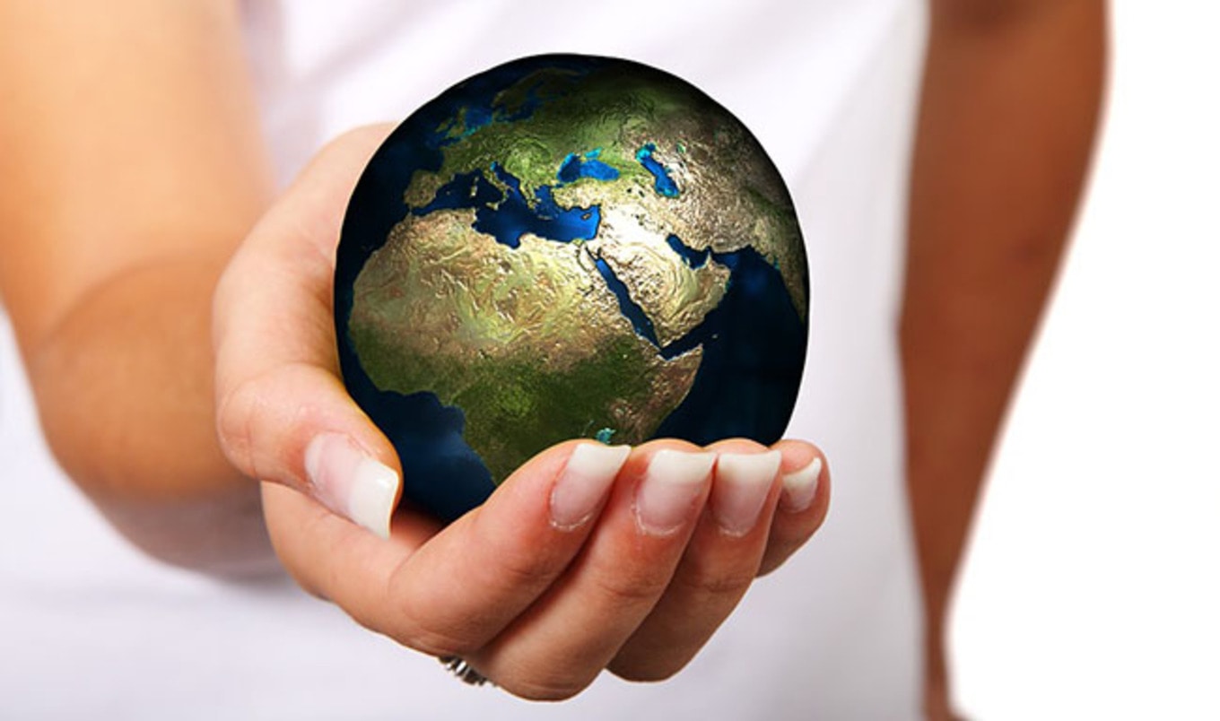 Canadian High School Students Imagine a Meatless Future