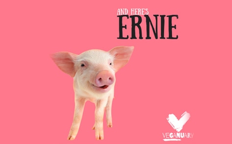 Veganuary to Launch Vegan Billboard Campaign in London