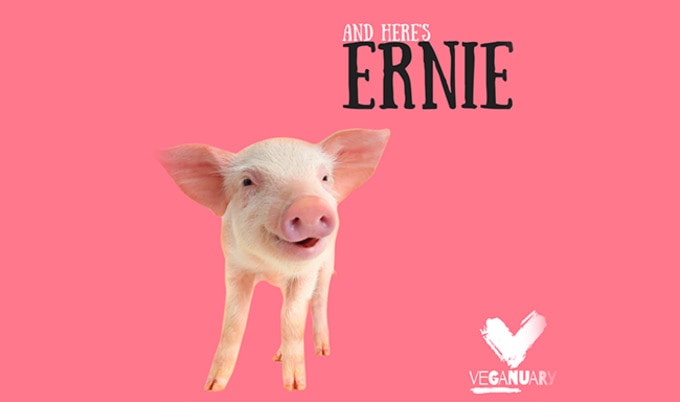 VegNewsVeganuaryErnie