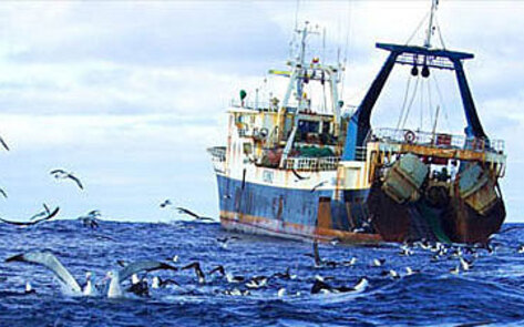 Greenpeace Helps Sweden