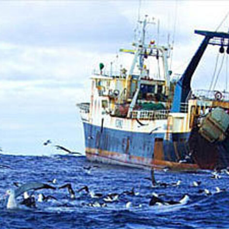 Greenpeace Helps Sweden