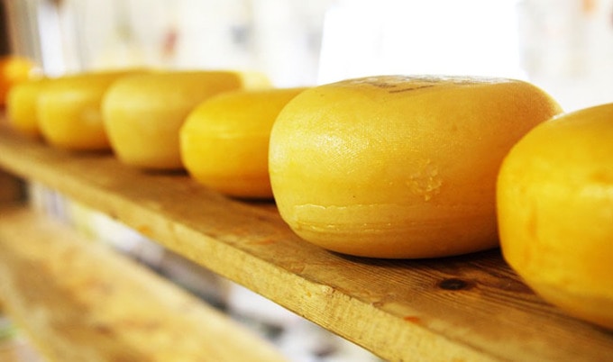 VegNewsCheese