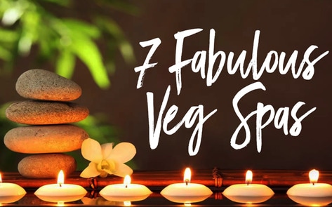 7 Veg-Friendly Spas (and Why We Need Them!)