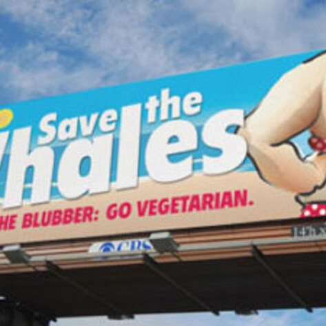 Billboard Controversy