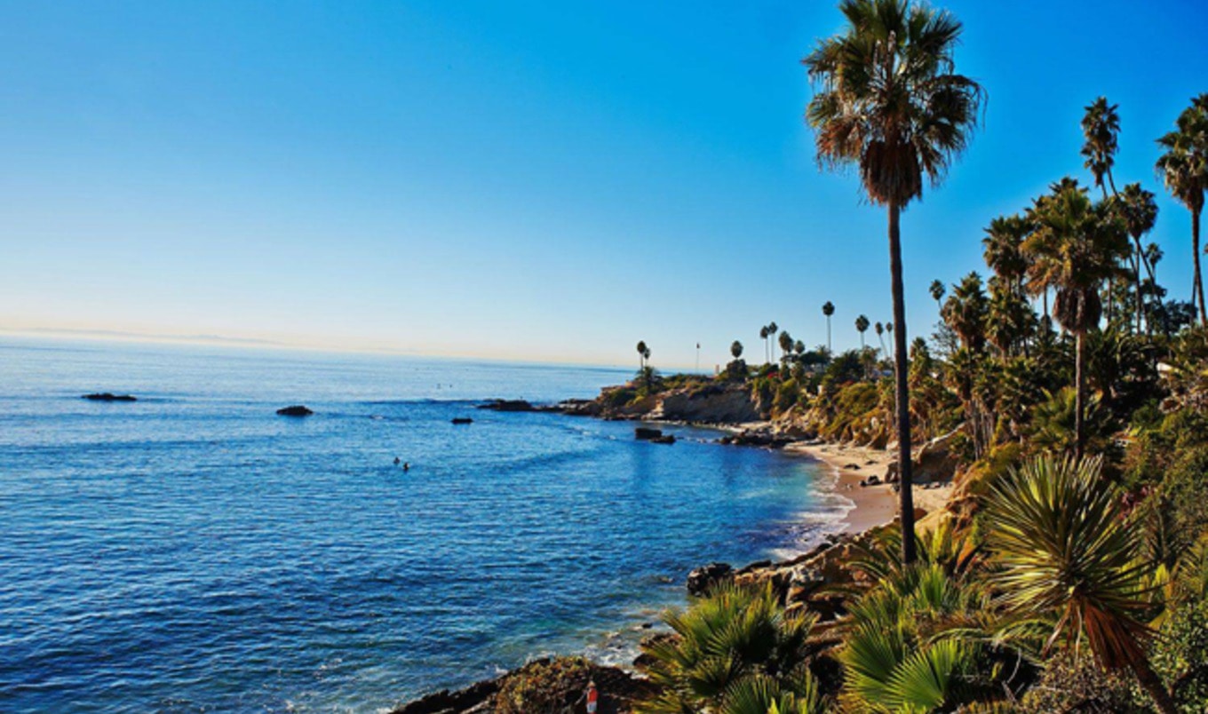 Top 5 Vegan Things to Do (and Eat) in Orange County