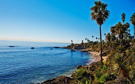 Top 5 Vegan Things to Do (and Eat) in Orange County
