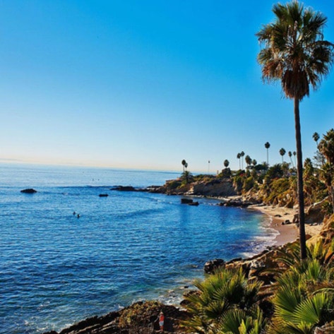 Top 5 Vegan Things to Do (and Eat) in Orange County