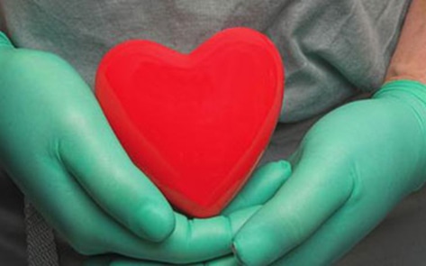 VND.HeartDoctorHands1