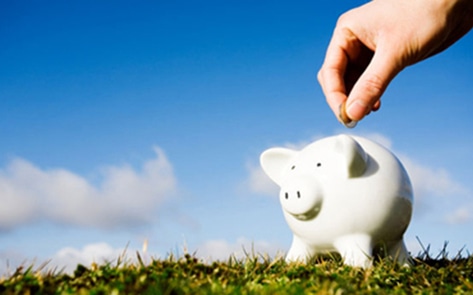 Plant-Based Company Boosts Utah Economy